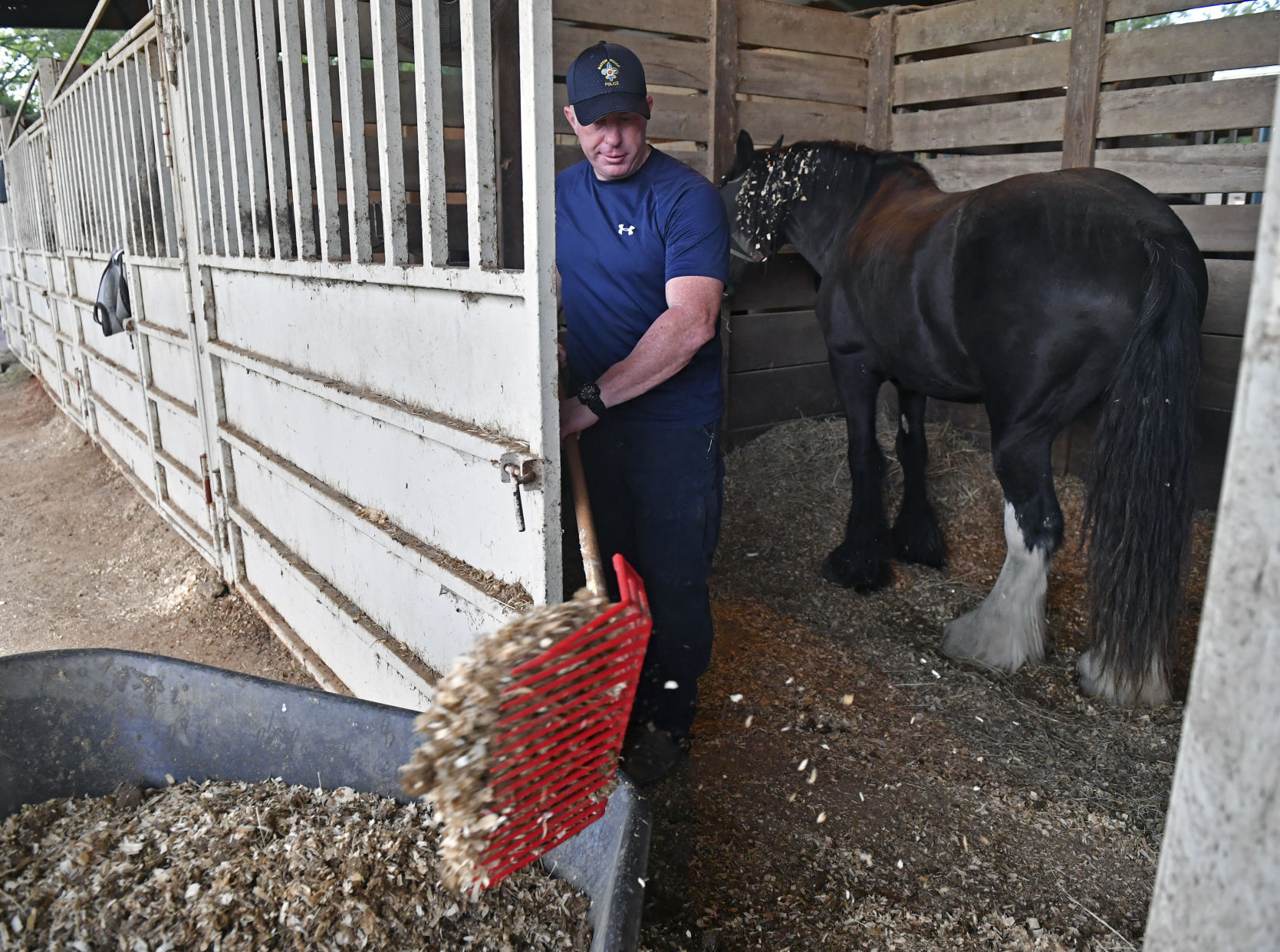 BR.brpdhorses.adv HS 004.JPG